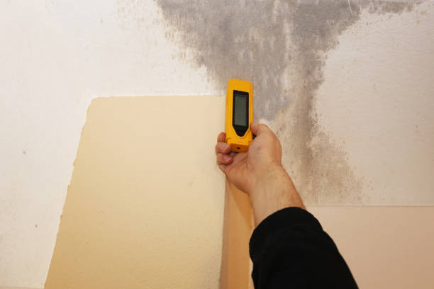 Best Asbestos and Lead Testing During Mold Inspection  in Batesville, TX
