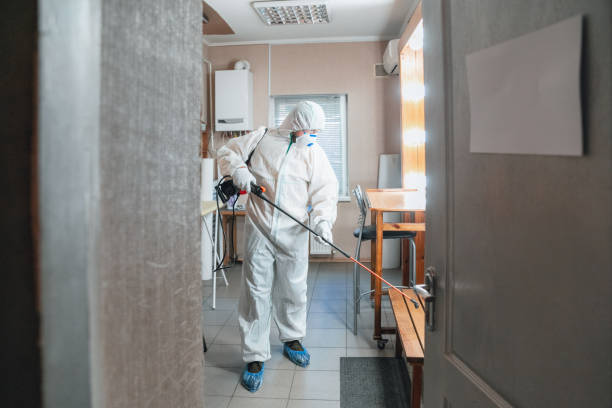 Mold Documentation for Insurance Claims in Batesville, TX