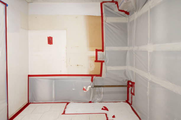 Best Commercial Mold Inspection  in Batesville, TX