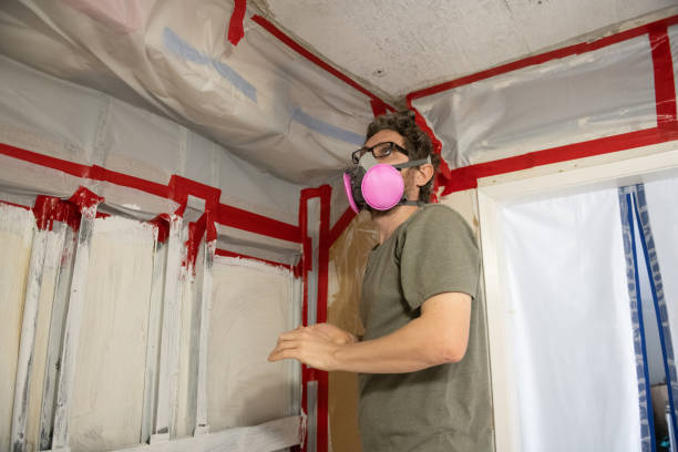 Best Crawl Space Mold Remediation  in Batesville, TX