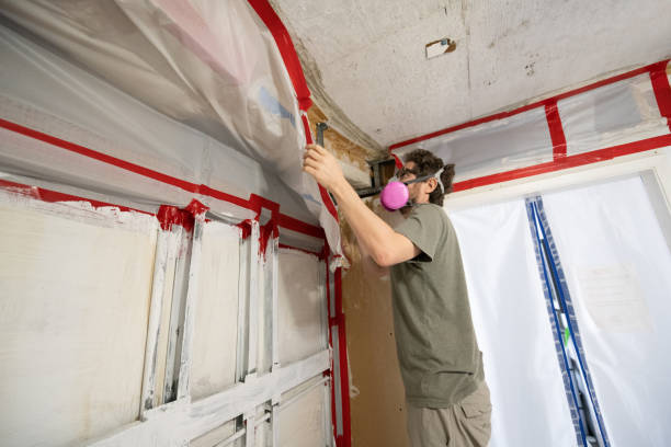Best Environmental Consulting for Mold Prevention  in Batesville, TX