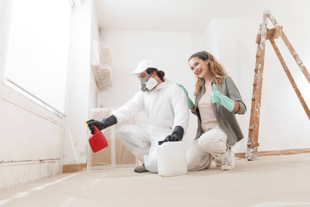 Best Comprehensive Air Testing for Mold Contaminants  in Batesville, TX