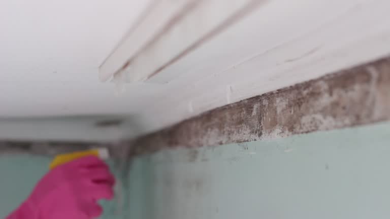 Best Post-Remediation Verification Testing  in Batesville, TX
